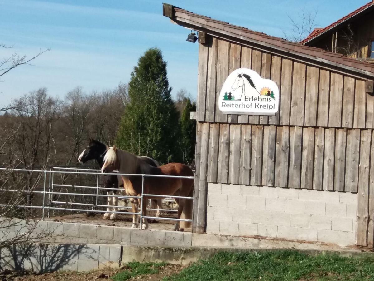 Ferienwohnung Auf Dem Erlebnisreiterhof Kreipl Grattersdorf Eksteriør bilde